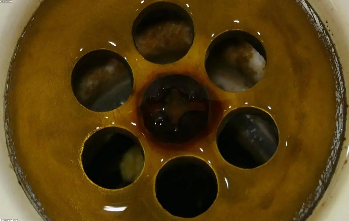Emergency Drain Cleaning in Torrance, Torrance, CA